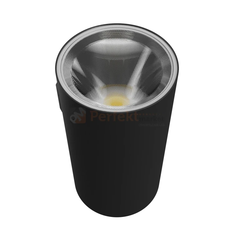 Kinkiet ścienny zewnętrzny elewacyjny TORRE CCT okrągły 18W IP54 3 perfektmarket.webp