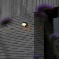 LOOMA lampa ścienna kinkiet zewnętrzna biała kula ciemny szary E27 10cm IP54 Lutec 3 perfektmarket.webp