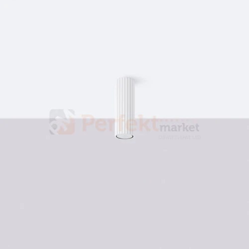 KARBON PLAFON 20 OCHRA BIAŁY MARKET OLSZTYN 2.webp