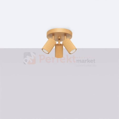 KARBON PLAFON 3P ZŁOTY PERFEKT MARKET OLSZTYN (12).webp