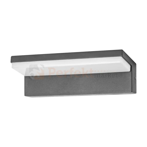 PACHIRA PERFEKT MARKET OLSZTYN (1).webp