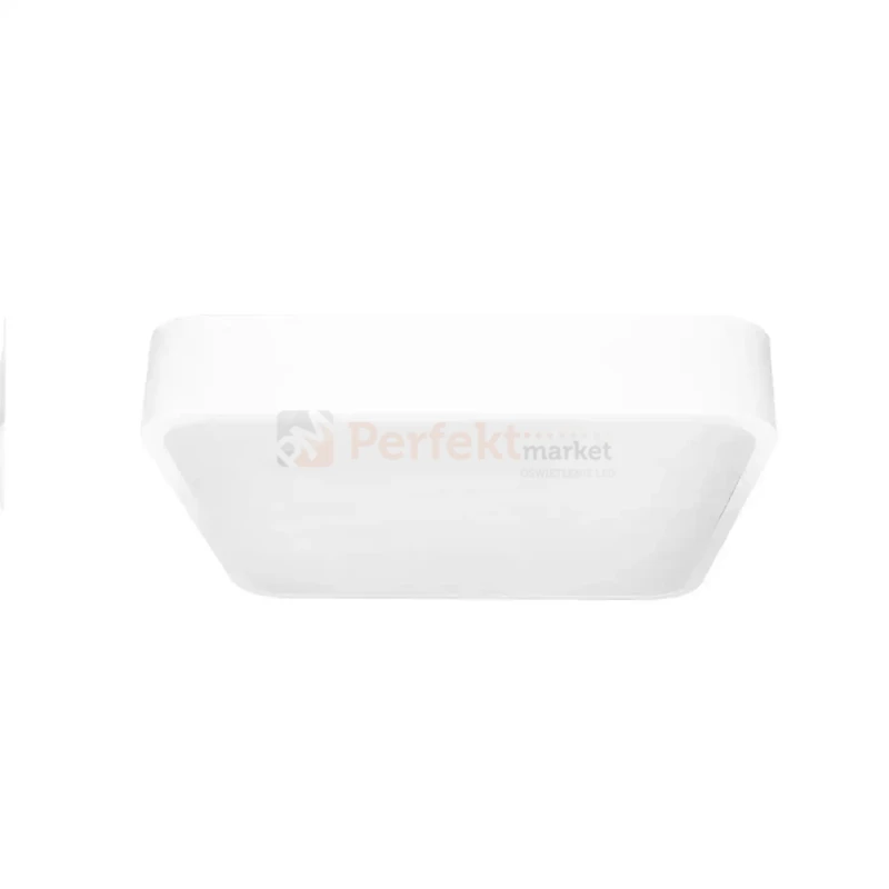 ID-4761 PERFEKT MARKET OLSZTYN.webp