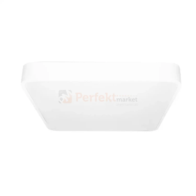 ID-4762 PERFEKT MARKET OLSZTYN.webp