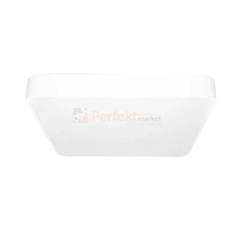 ID-4762 PERFEKT MARKET OLSZTYN (2).webp