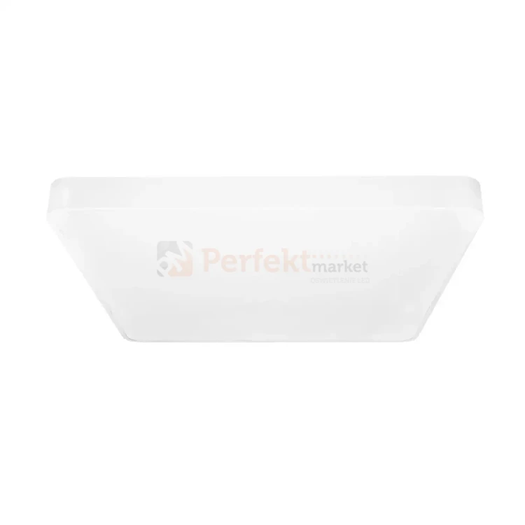 ID-4764 PERFEKT MARKET OLSZTYN.webp