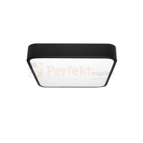 ID-4751 PERFEKT MARKET OLSZTYN (1).webp