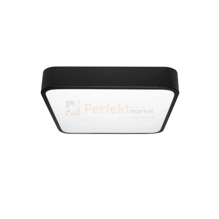 ID-4751 PERFEKT MARKET OLSZTYN (1).webp