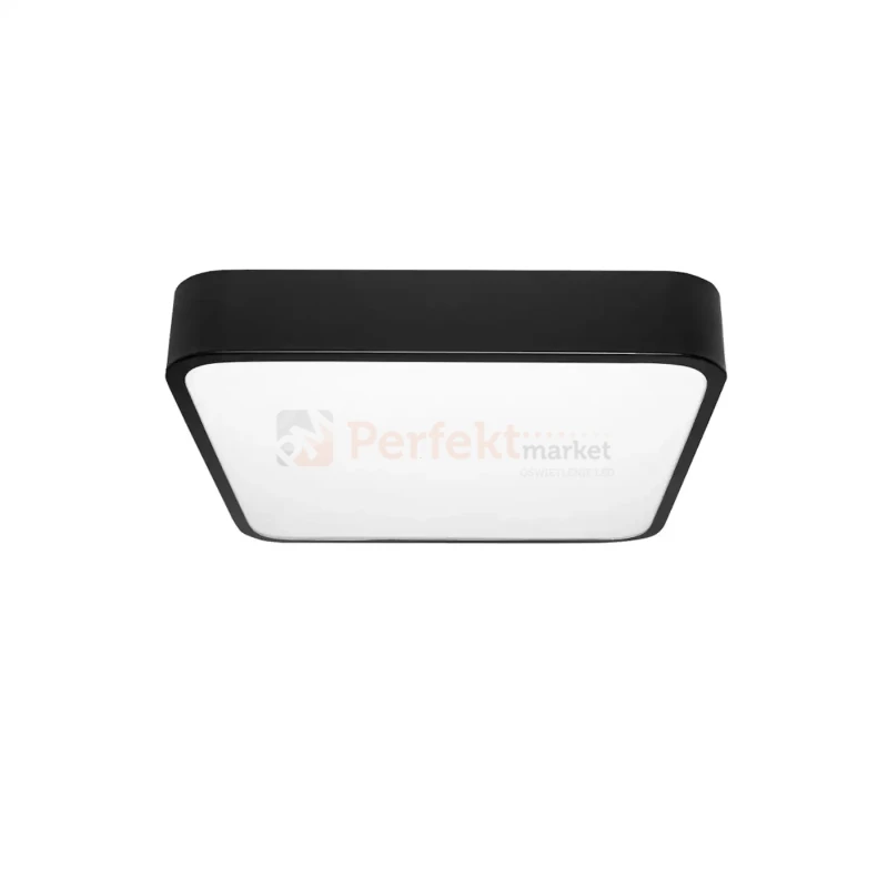 ID-4751 PERFEKT MARKET OLSZTYN (3).webp