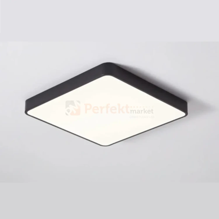 ID-4751 PERFEKT MARKET OLSZTYN.webp