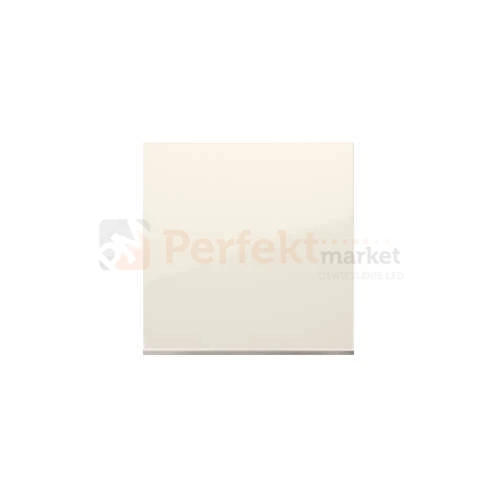 Simon 54 klawisz pojedynczy kremowy bez ramki DKW1/41 perfektmarket